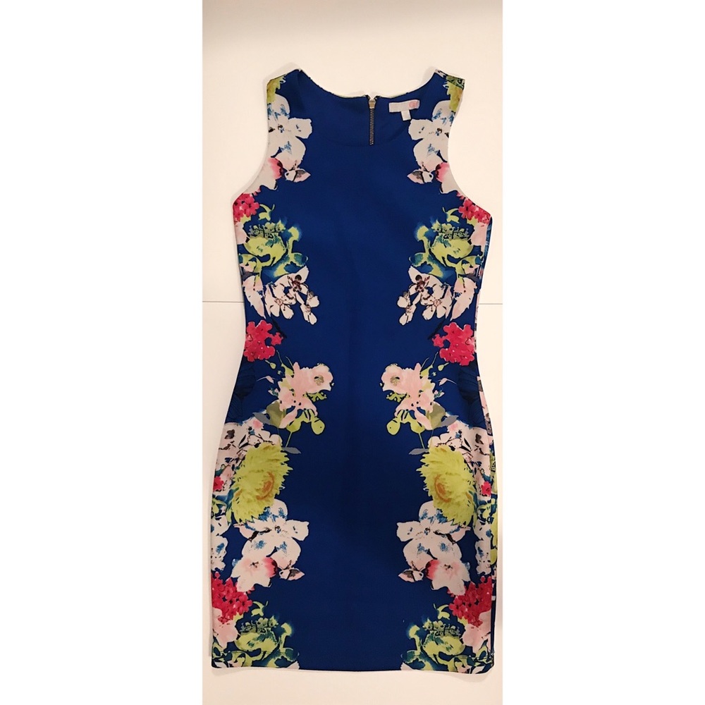 Gianni Bini bodycon
